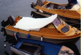 Shetland Sheltie tonneau cover